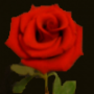 Rose82